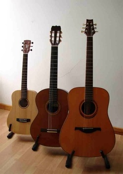 Three hire guitars